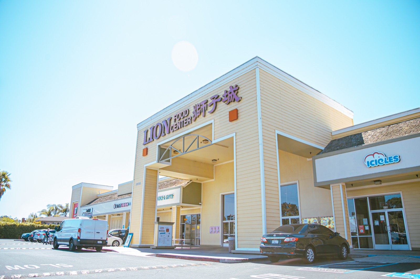 Lion Newark Shopping Center exterior and storefronts in Newark CA